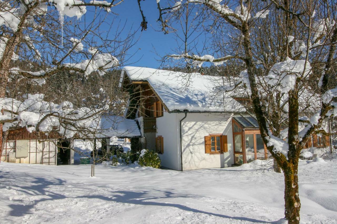 Villa Anna Bad Goisern Am Hallstaettersee 外观 照片